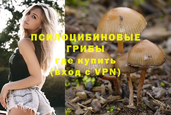 spice Абдулино