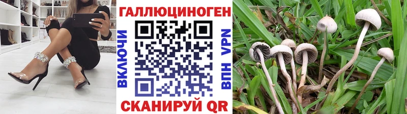 хочу наркоту ссылка на мегу ТОР Псилоцибиновые грибы MAGIC MUSHROOMS Новопавловск